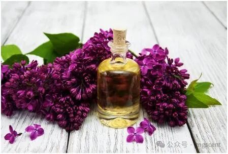 أحدث قضايا الشركة حول The secret behind the sleep-aid properties of plant essential oils