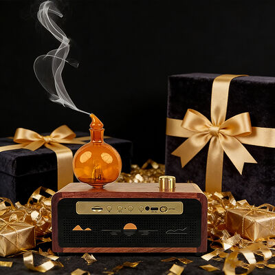 kopen Koelluchtdiffusie Huis Aroma Diffuser Hi-Fi Audio Luxe Aromatherapie Diffuser online manufacture