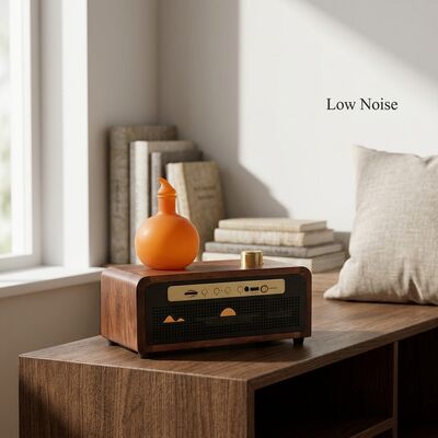खरीदें मल्टी फंक्शनल एटमॉस्फियर रेगुलेशन के लिए एस्थेटिक होम अरोमाथेरेपी डिफ्यूज़र ऑनलाइन निर्माण